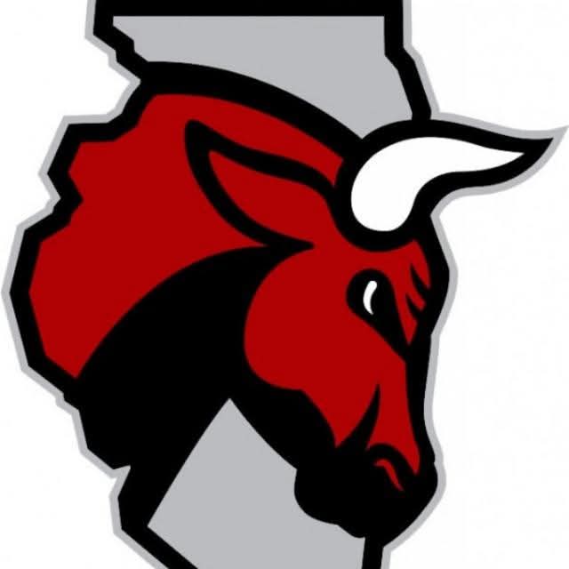 Mbare Bulls  logo